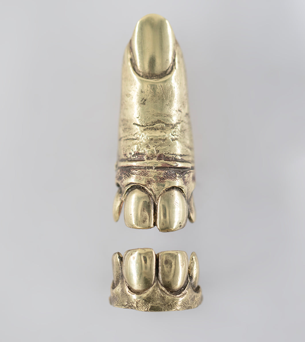 Tooth Fairy, 2 part ring. Brass and silver. / Wrozka Zebuszka, 2 czesciowy pierscien. Mosiadz i srebro.