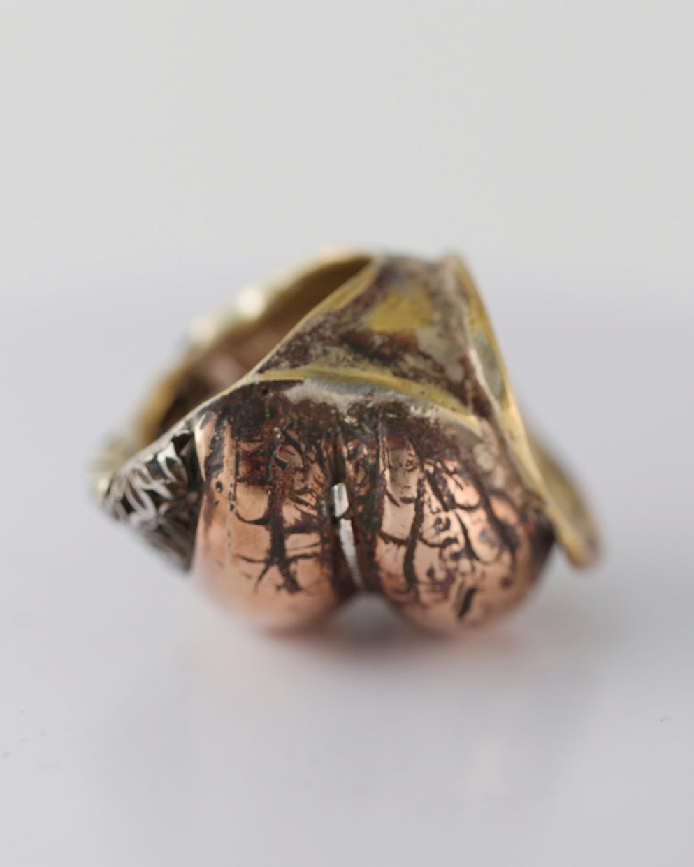 Plump ring. Bronze, brass, silver. / Pulchny pierscien. Braz, mosiadz, srebro.