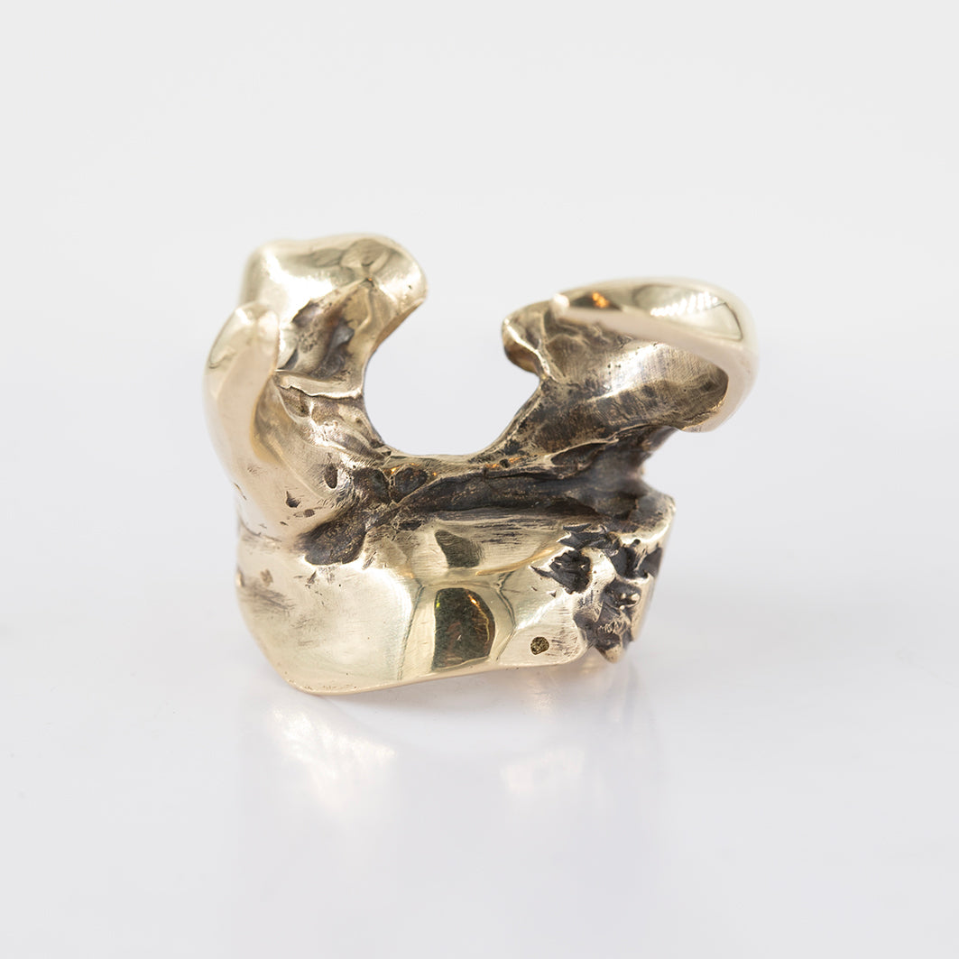 Organic shape ring. Brass and silver. / Pierscien organiczny ksztalt. brass and silver.