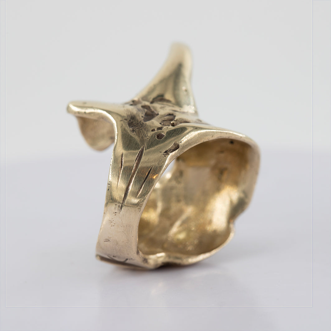 Organic shape ring. Brass and silver. / Pierscien organiczny ksztalt. brass and silver.