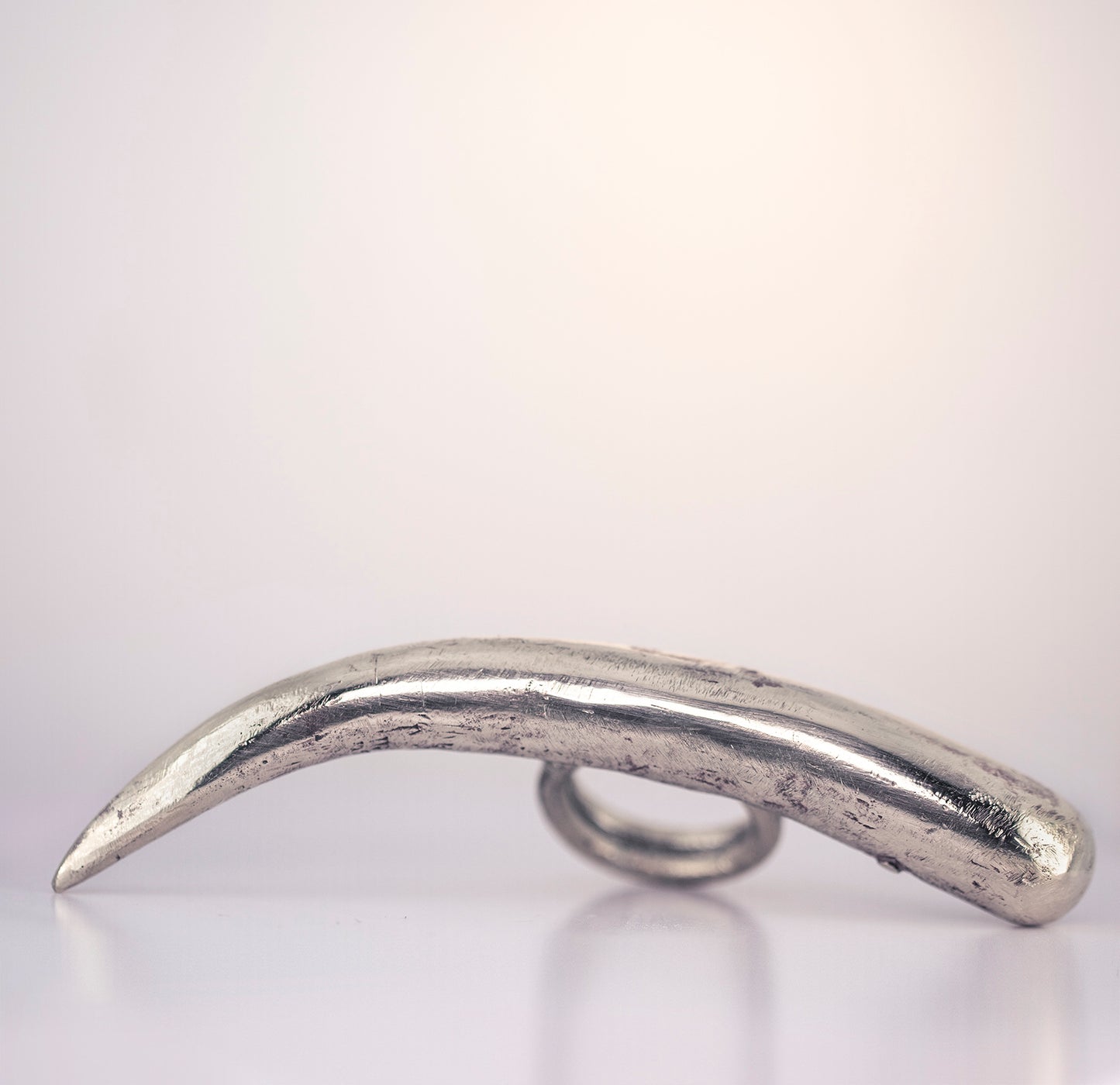 Seed 2. Long ring brass and silver./ Dlugi piercien. Srebro i mosiadz.