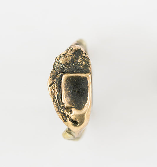 Small ring. Negative reflection. Silver and brass. / Bardzo maly pierscien. Srebro i mosiadz.