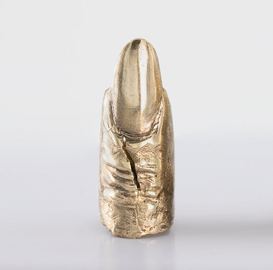 Raw Finger long nail. Sculpture. Rupture. Brass and silver. / Pierscien palec z dlugim paznokciem. Mosiadz i srebro.