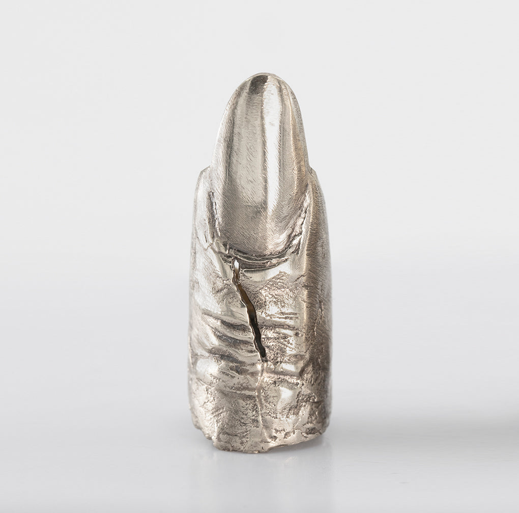 Raw Finger long nail. Sculpture. Rupture. Brass and silver. / Pierscien palec z dlugim paznokciem. Mosiadz i srebro.